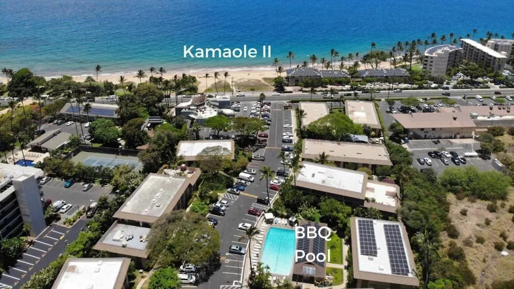 Walk To The Beach, Great And Convenient Location Lsv15 Kihei
